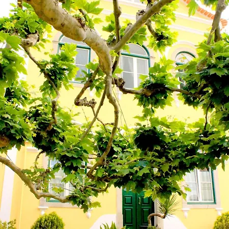 Hotel Nova - Adults Only 2*