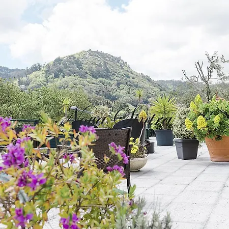 Nova - Adults Only 2*