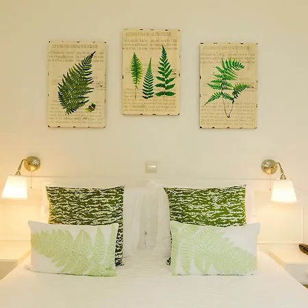 Nova - Adults Only Sintra