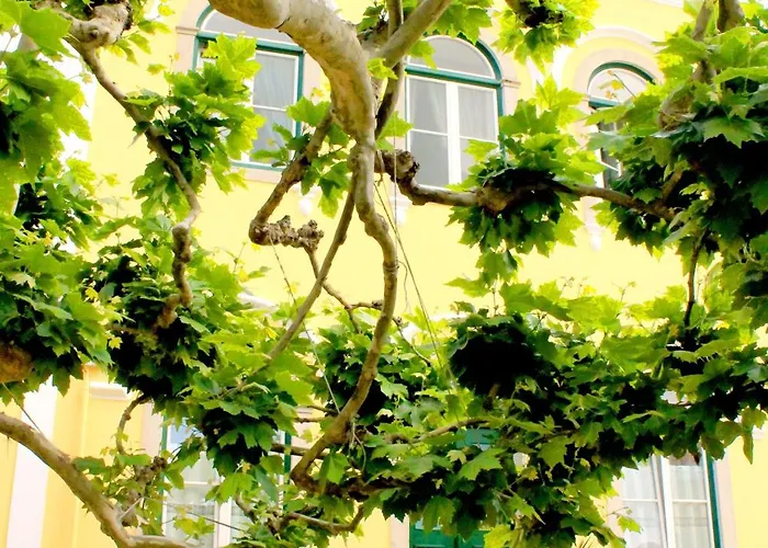 Hotel Nova - Adults Only 2*